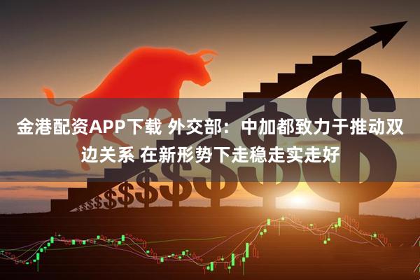 金港配资APP下载 外交部：中加都致力于推动双边关系 在新形势下走稳走实走好
