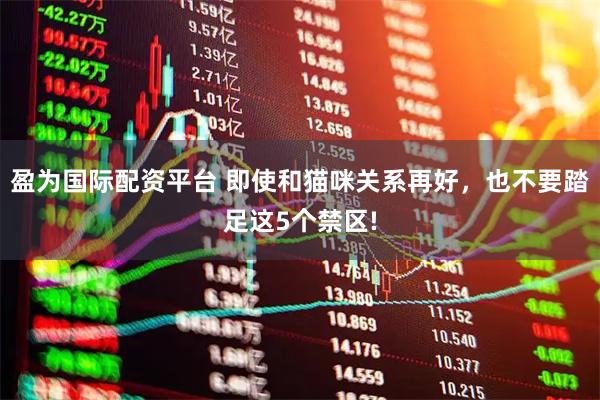 盈为国际配资平台 即使和猫咪关系再好，也不要踏足这5个禁区!